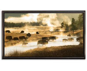 FIREHOLE CROSSING