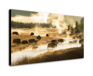 FIREHOLE CROSSING