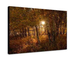 PASSING OF AUTUMN