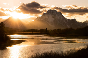 OXBOW SPLENDOR