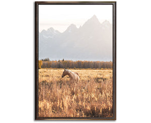 PALOMINO MEADOW