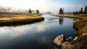 PEACE LIKE A RIVER