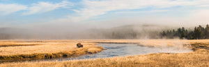 PLAINS OF YELLOWSTONE