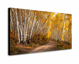 THE AUTUMN ROAD