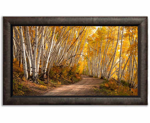 THE AUTUMN ROAD