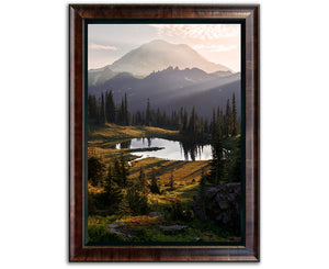WILD RAINIER