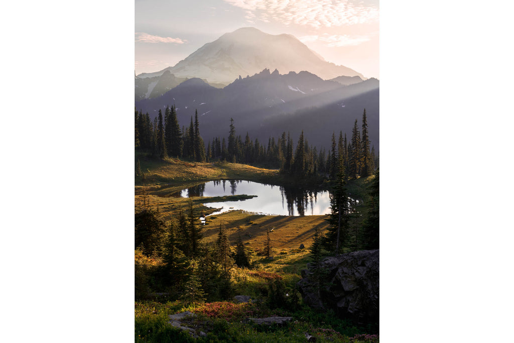 WILD RAINIER