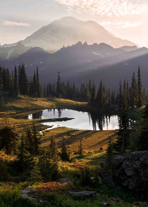WILD RAINIER
