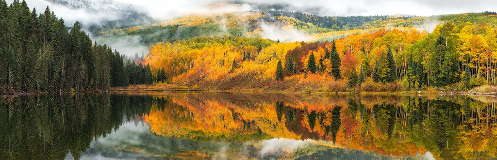 WOODS OF AUTUMN