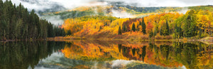 WOODS OF AUTUMN